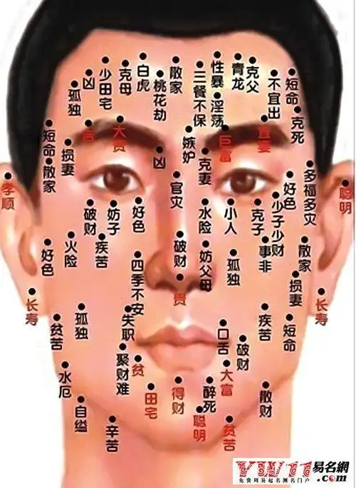 女性面部痣相图解大全,女人脸上的痣各指什么?