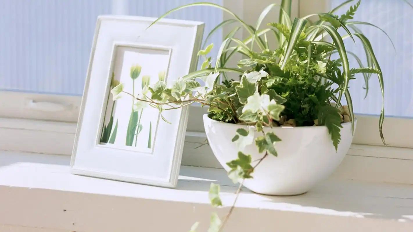 小清新家居静物简约风格桌面壁纸下载 第四辑