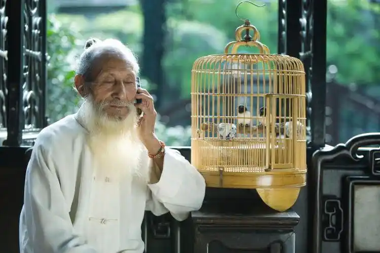 抬头望着远方的慈祥老人