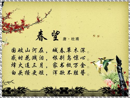 645海报印制海报展板素材898诗词 国画唐杜甫春望