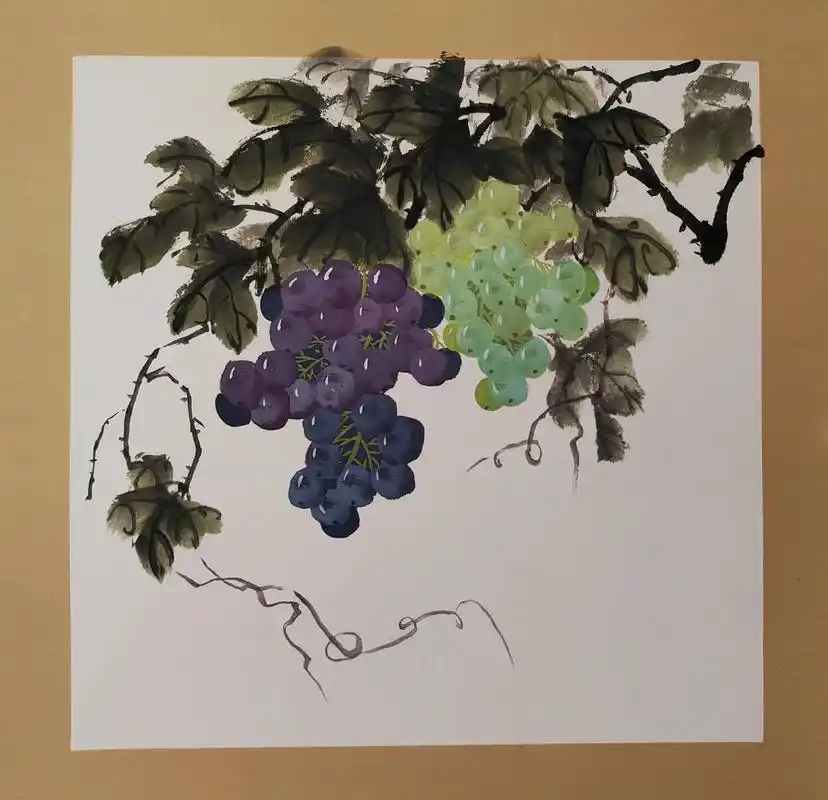 画画,葡萄#给生活多一点色彩 #国画学习  - 抖音