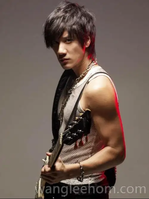 求王力宏《心跳》专辑的全部大图.