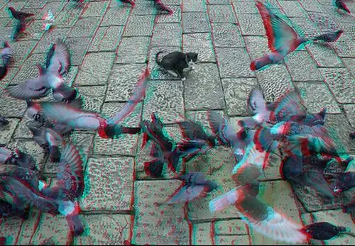 就是3d的,戴红蓝眼镜看的图片或电影 (因为就这幅图我看了最为立体,要