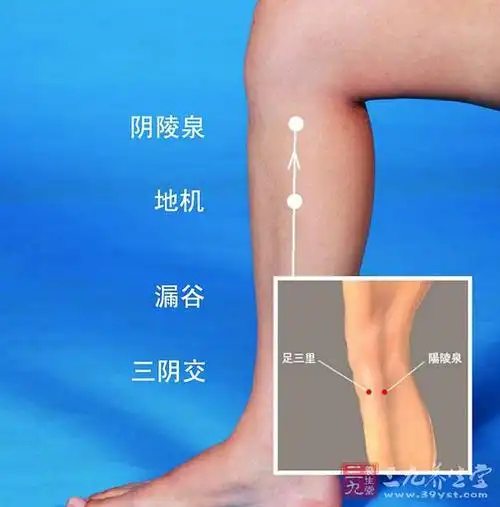 小腿刮痧图,非常去湿气!