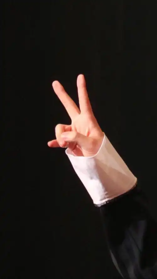 傲娇兰花指 ( ω )