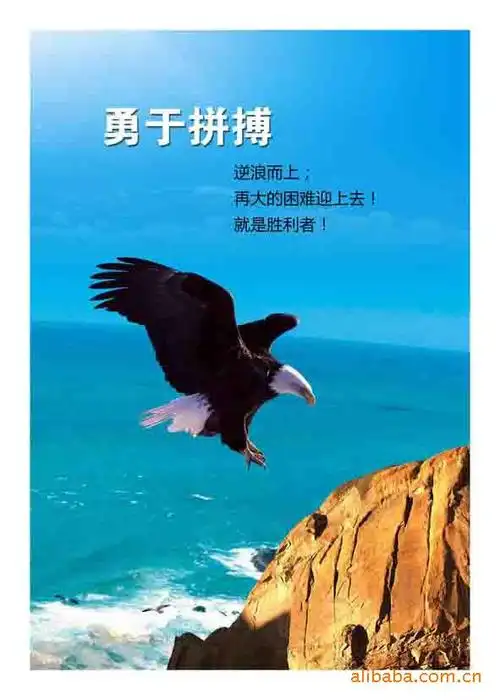 拼搏励志宣传海报 特价供应广东广州中山顺德英德肇庆佛山等地区图片