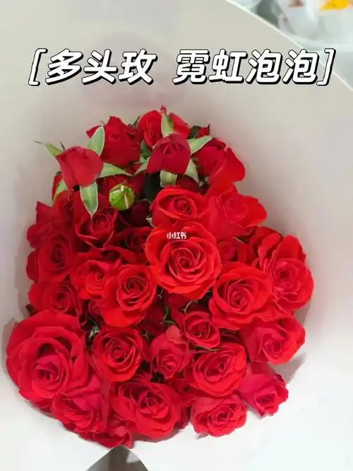 多头玫瑰霓虹泡泡