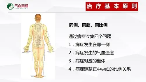 小腿全息疗法原理二