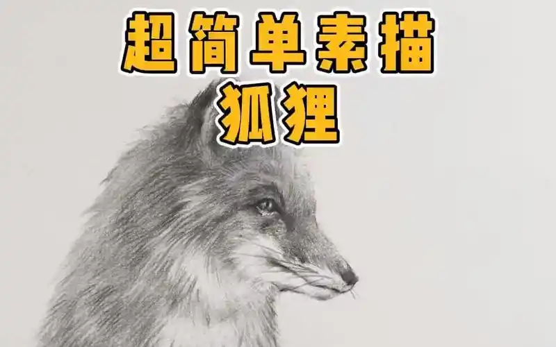 素描小狐狸教程