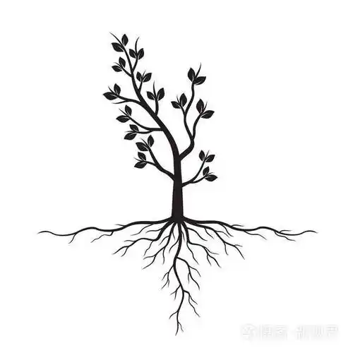 红黑树的根矢量图