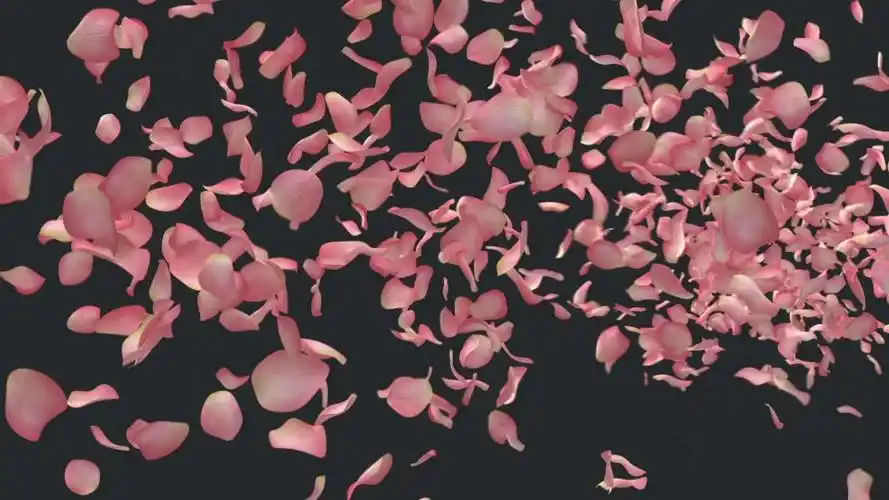 视频素材玫瑰花瓣飘落飘动飞舞动画视频素材pinkrose6e3sn9q01