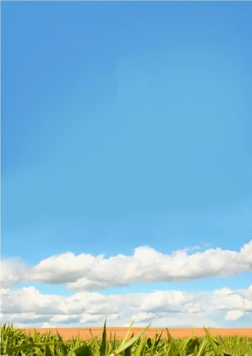 求这张背景图的高清无字大图!