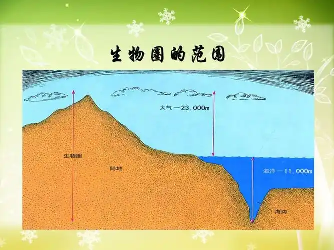 冀教版生物八年级下册723生物圈课件3ppt