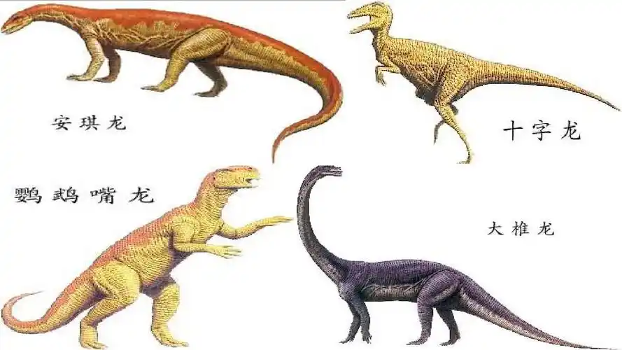 人教最新版-小学四年级-上册语文-第八组-第31课《飞向蓝天的恐龙》