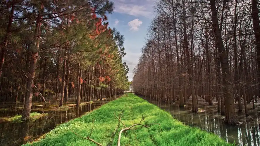 浙江嘉兴湘家荡:如画美景里藏硬核科创实力_央广网