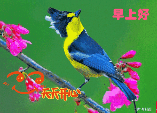 640_459gif 动态图 动图