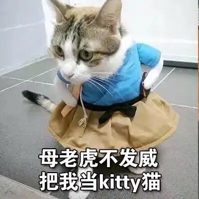 母老虎不发威把我当 kitty 猫