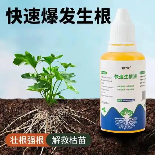 快速生根液植物通用强力生根粉扦插水培多肉营养液移栽壮苗生根剂