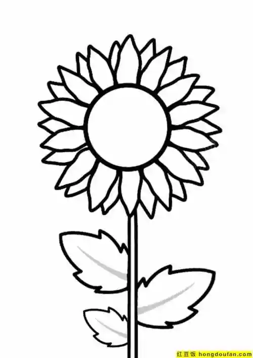 10张适合初学者学习的向日葵卡通儿童简笔画