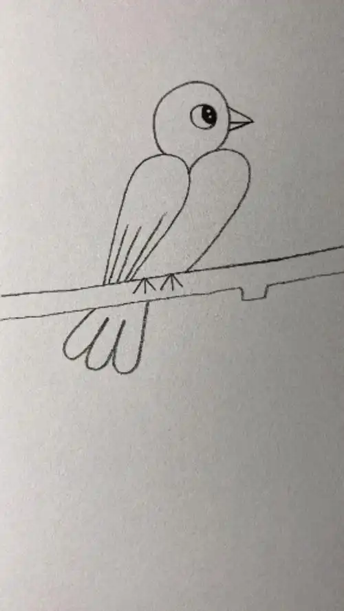 用22画聪明的小鸟