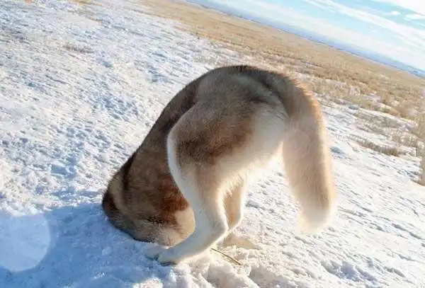 最重要的是,看完这些照片后, 它们很可能让