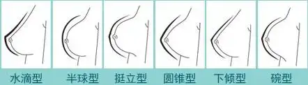 乳房基底面直径为10-12厘米,乳轴(由基底面到乳头的高度)为5-6厘米;4