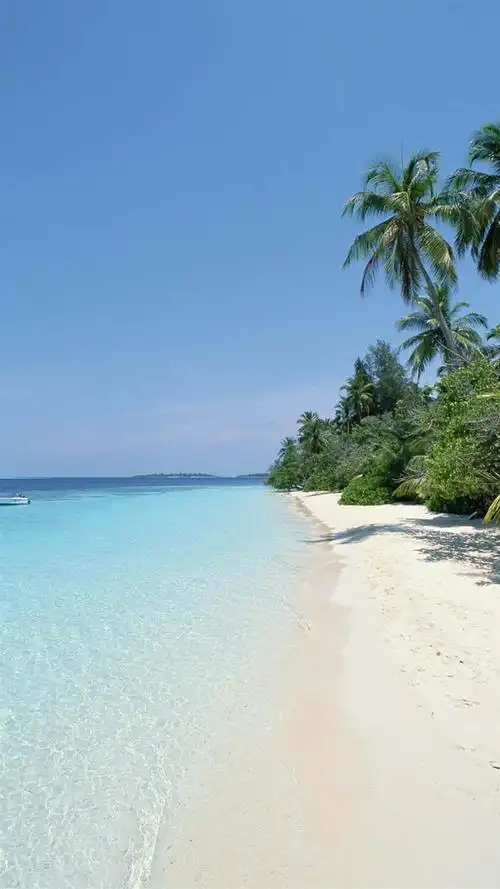 养眼夏日海滩风光,高清图片,手机锁屏桌面-壁纸族