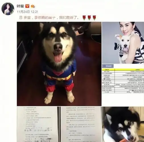 被狗咬后,李依晓和叶璇陷入口水战最后闹到对簿公堂,经历了两年官司