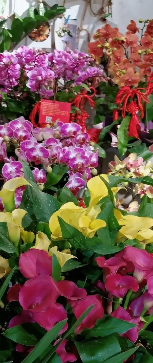 花开富贵,锦上添花,好运相伴,一生平安!