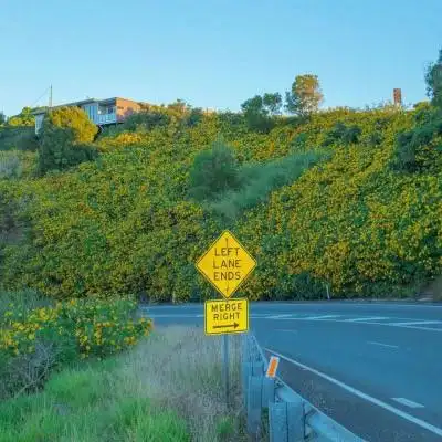 2021最新款微信头像