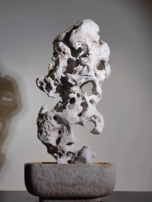 白润太湖石质地难得一见的白净形态也好