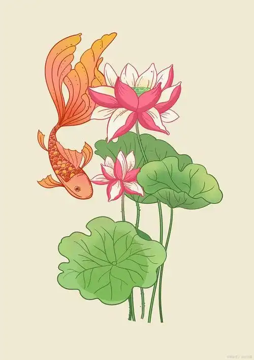 荷花鱼的寓意是什么?_热点资讯_资讯中心 - 265学校教育网