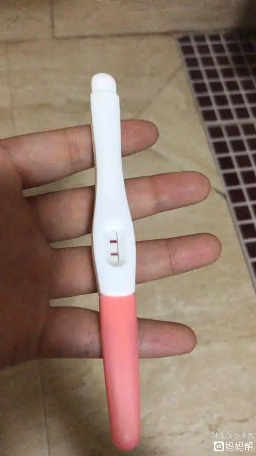 验孕棒怀孕怎么显示(验孕棒显示什么是怀孕)