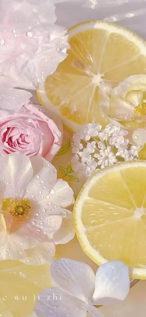 美食吃货ins风小众高级壁纸