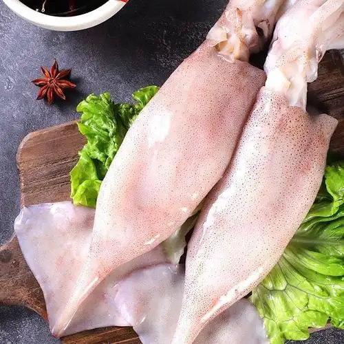 10斤包邮新鲜大鱿鱼整只装大乌贼鱿鱼须大章鱼自家渔船海捕