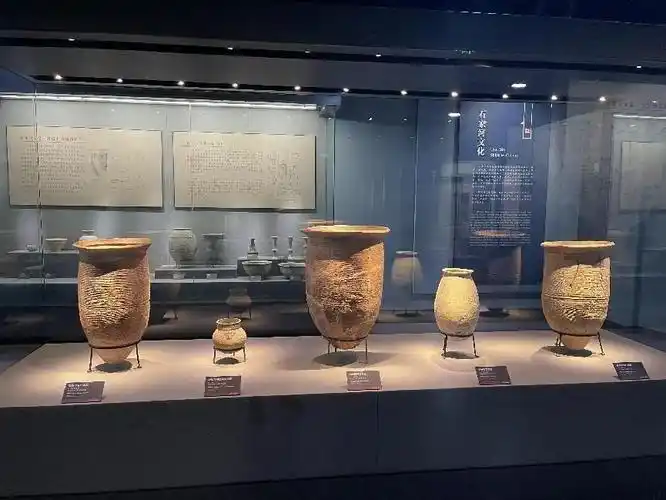 玩转荆州博物馆,让历史触手可及!