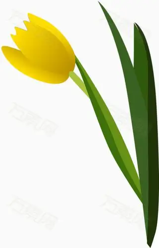 卡通鲜花图片免费下载_卡通手绘_万素网