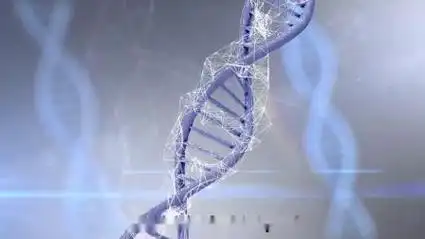 脐带间充质干细胞介绍