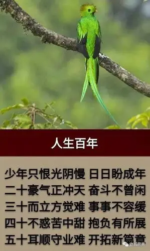 四十不惑(四十不惑五十知天命六十耳顺七十古来稀)