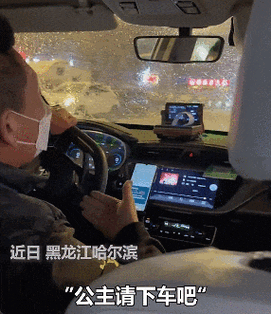 出租车司机大哥温声细语接待南方游客,口口声声都是"公主请下车";哈哈