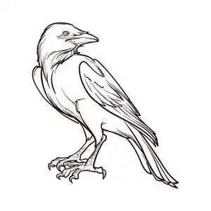 卡通黑乌鸦图片-卡通黑乌鸦素材-卡通黑乌鸦插画-摄图新视界