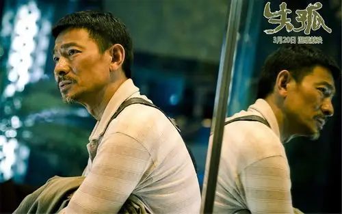 刘德华主演电影《失孤》高清官方剧照海报桌面壁纸图片下载第一辑