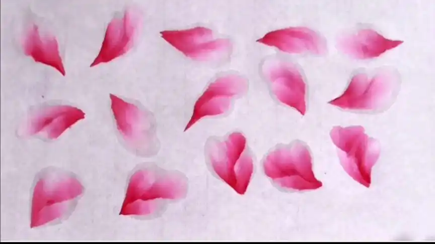 慢动作示范讲解牡丹花瓣翻瓣,卷边画法-教育视频-搜狐视频
