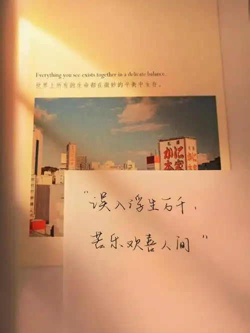 很小众的朋友圈高级感文案