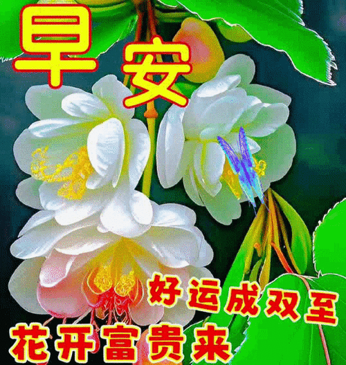 夏天早上好图片最美祝福送你