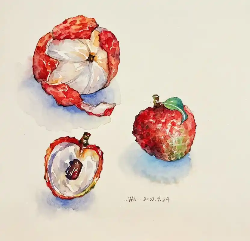 喜欢吃的荔枝来一个.#绘画 #临摹 #手绘水彩 - 抖音