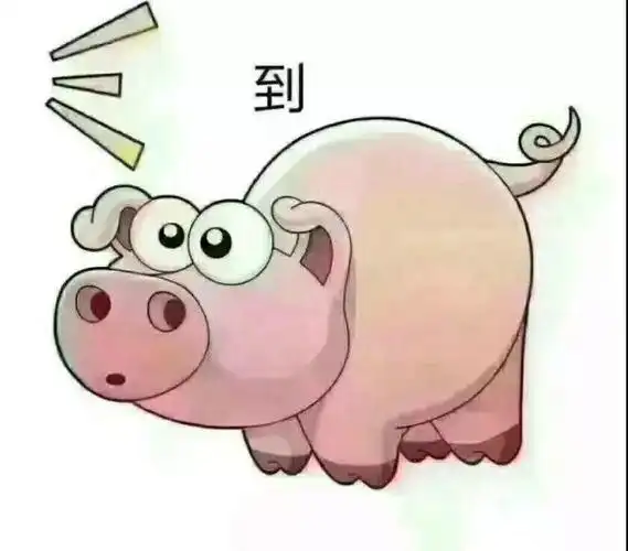 抖音猪答到表情包大全分享