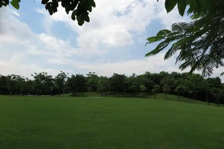 深圳公园合集,徒步,放风筝,游玩均可,享受舒适周末_广场