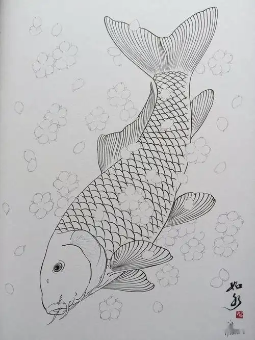 如水《波鲤》白描手稿,画的真棒!