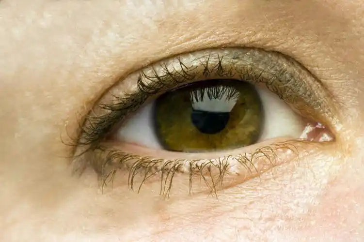 西方人,眼睛,睫毛,一个人,横图,室外,特写,白天,正面,欧洲,欧洲人,瞳